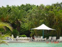 Royal Palms Resort Pool 
