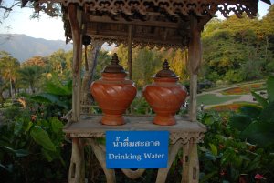 Trinkwasser im Doi Thung Palace Garten.