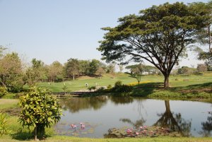 Santiburi Golf Club Chiang Rai.