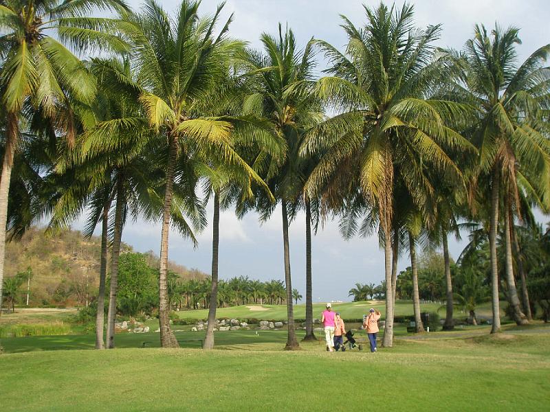 P3100623.JPG - Palm Hills Golf Course.