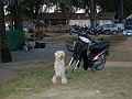 P2130121