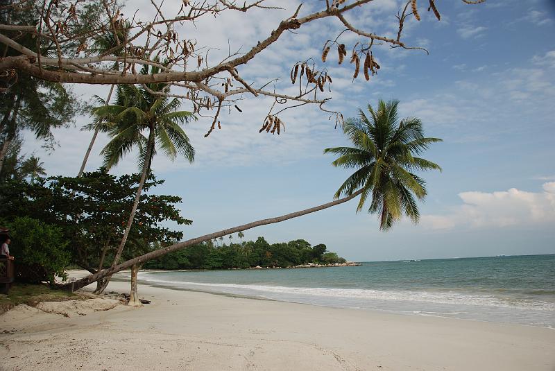 DSC_0053.JPG - Nirwana Gardens Hotel. Beach.