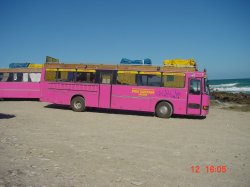 Suedlichster Punkt Afrikas: Cape Angulhas.4 Busse aus Schweden.