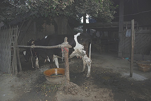 DSC_0215.JPG