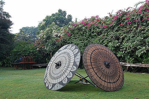 DSC_0099.JPG - The Tharabar Gate Hotel. Gardens.