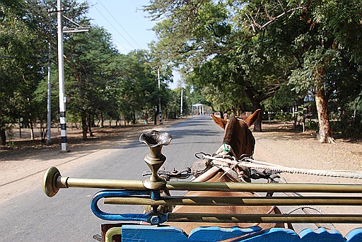 DSC_0117.JPG - Our very first horse cart tour.