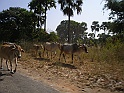 P1060017