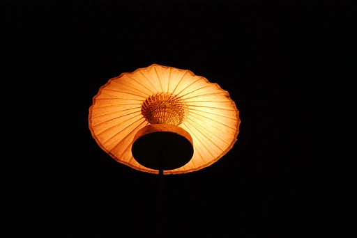 DSC_0338.JPG