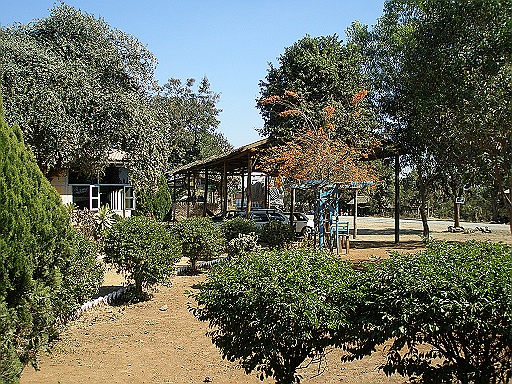 P1120044.JPG