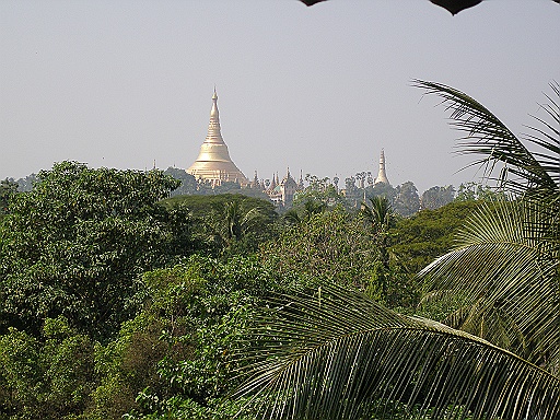 58.JPG - View from our room on the pagodas.