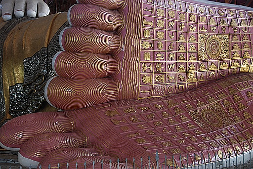 DSC_0019.JPG - Wonderful feet !