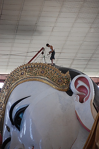 DSC_0020.JPG - Close up. What a gigantic head.