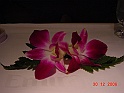 DSC00152